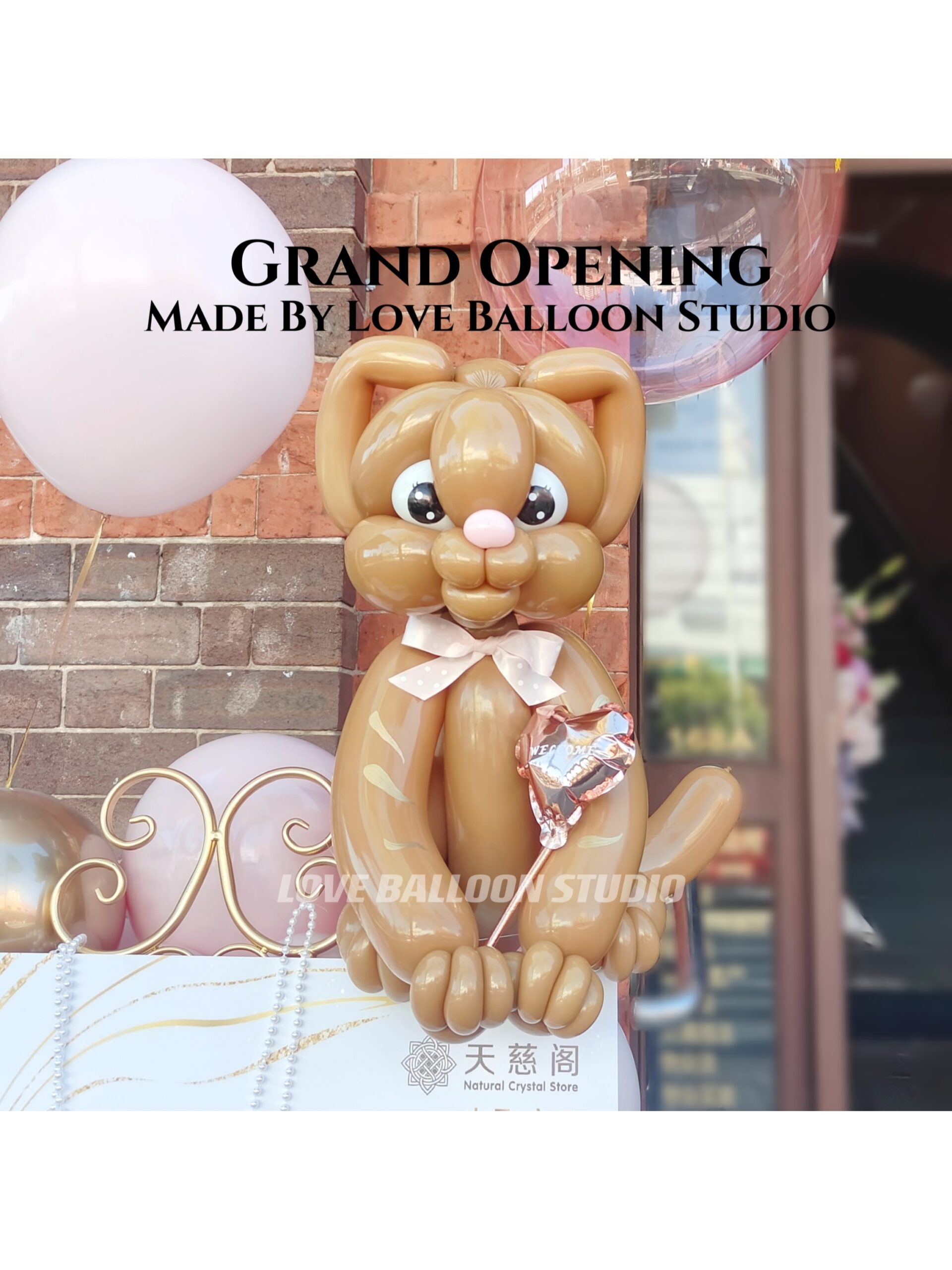 Balloon Customizatio