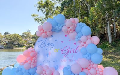 Charming Outdoor Gender Reveal Balloon Backdrop
