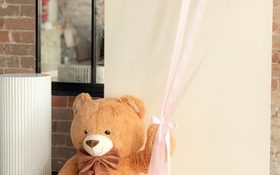 Teddy Bear Baby Shower Decorations in Sydney